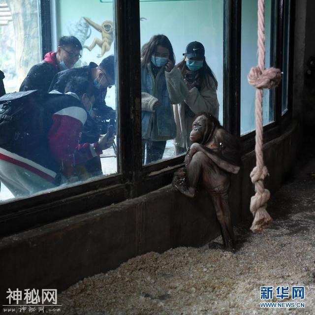 重庆动物园为动物取暖过冬-5.jpg