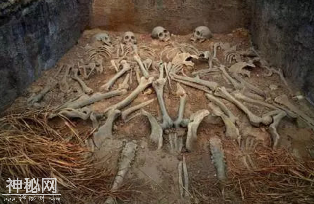 中国最恐怖古墓：发掘耗费10年，内有186人陪葬，墓主人何身份？-12.jpg