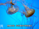 #生物