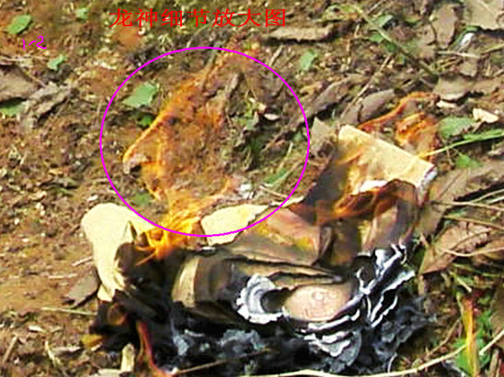 163H23031-1.jpg