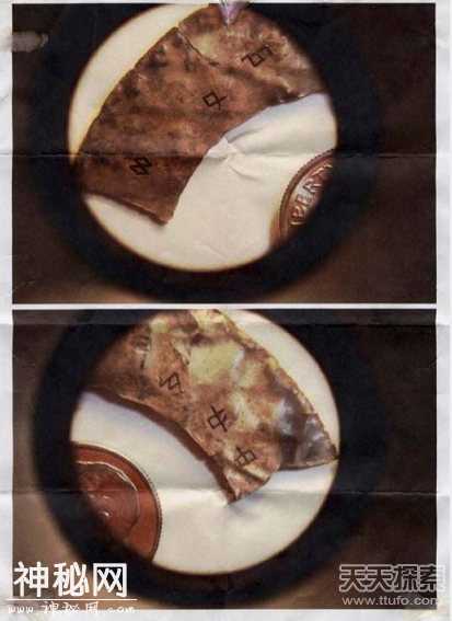 0023ae82c9311914e17911.png