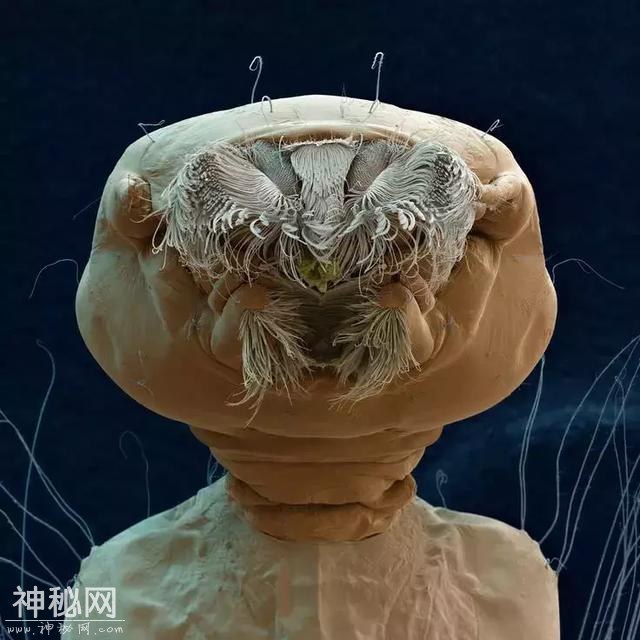 568d000003a9ec098628