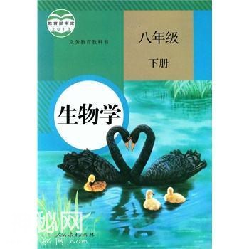 2a46000207ad5cef4aa3