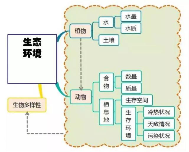 53fe0006d340cf4b39aa