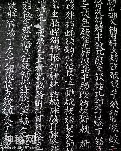 5688000158bd24b76921