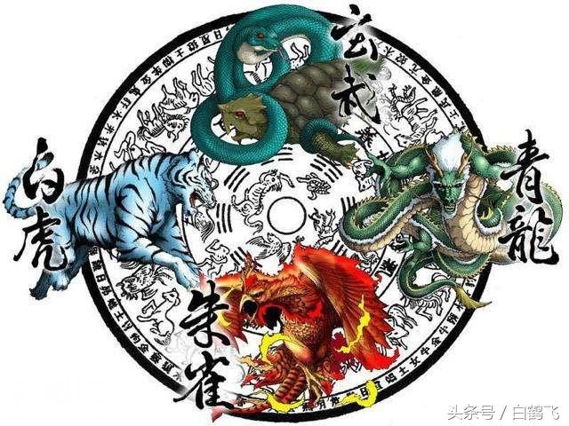 53fc0004e011e7352cd6