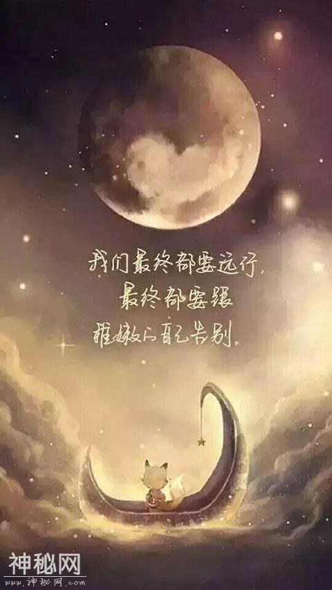 567b00057acf34dd88e7
