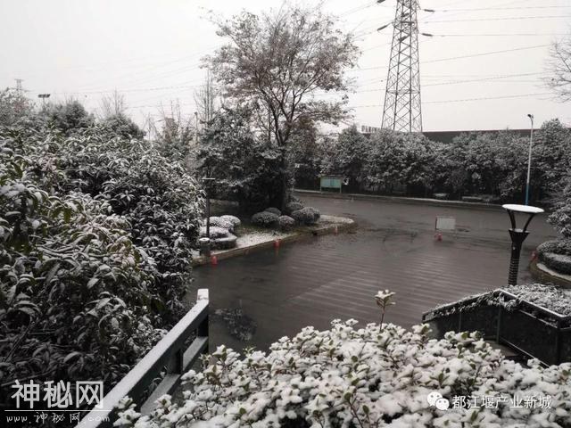 568600028dd62247fce0