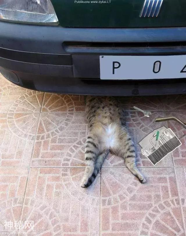 56880001d5cc4292b99f