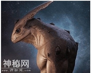 0I5VpNokrd