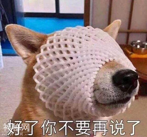 568c00027ce0de5a5945