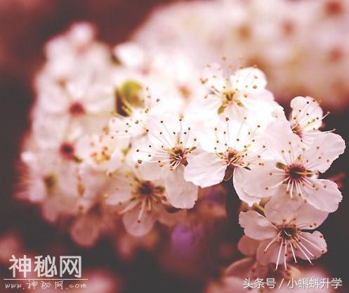 46cf0004c291515c2af4