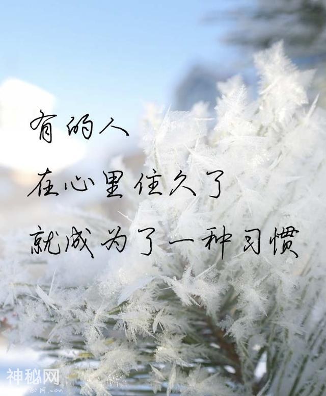 56880002a999e85a8489