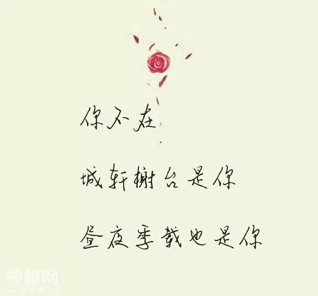 19f80004ec3f01644f62