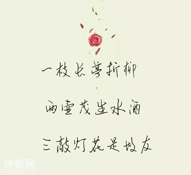19f70004f8947ac82e8b