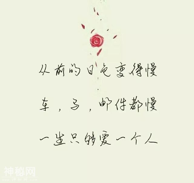 19f1000508af259367b7