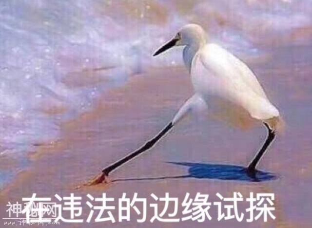 568d00052f019f5bed01