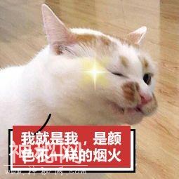 568d00051ce33a59af81