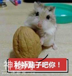 568f0001461ff5bc1db9