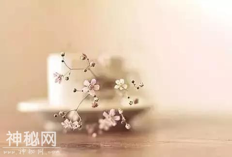 9e000056a708d8f148f