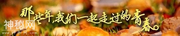 56920003482d552bbc8b