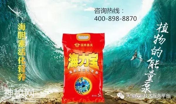 56940004ae4c9a03e80f