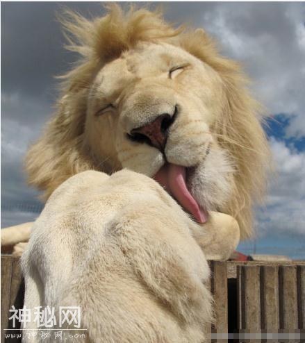 56880001fe9216708054