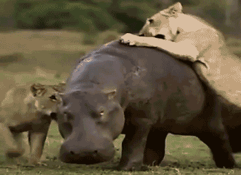 56920000db4a32d90400