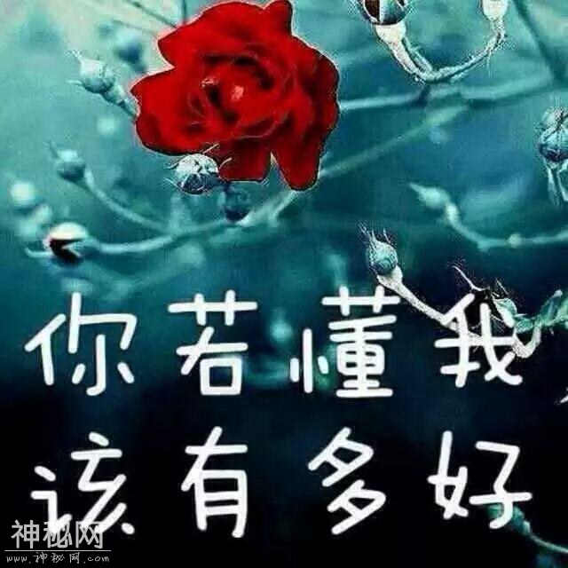 592f0003e636a3c53bad