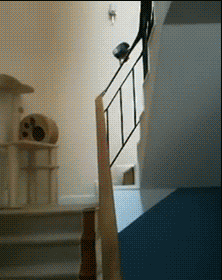 593500013cc3fa01c318