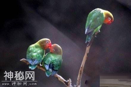 59300003dc66232cc1aa