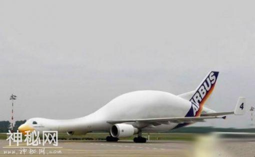 5935000132e0fd6ee35c