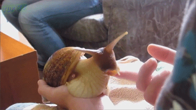 593100037772889d0d15