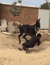 592f0003b16692af9628