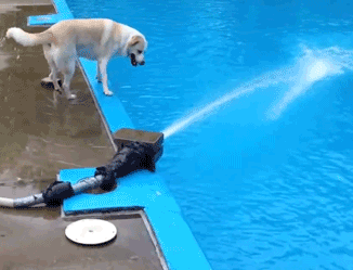 593300032ee279e0a8d5