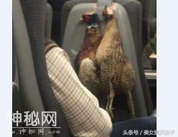 5695000292d9dcb54edc