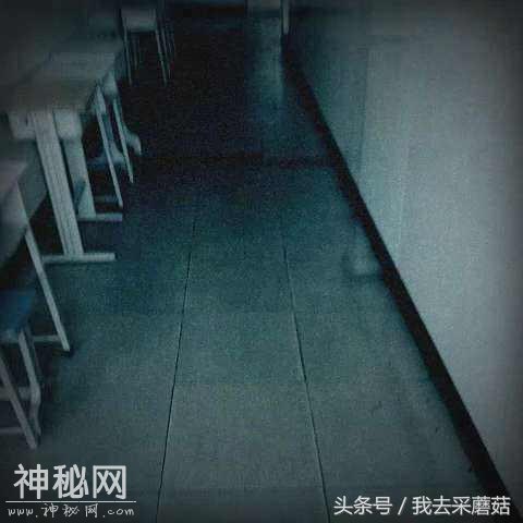 569100053ff0cd129ca4