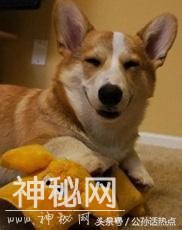 593b000055081b47de9a