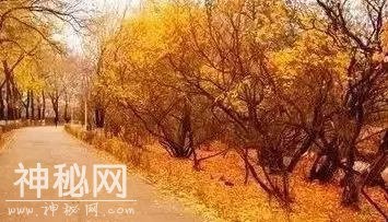 59340004a51a80700e3c