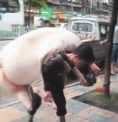 593d00008d38c54debf6