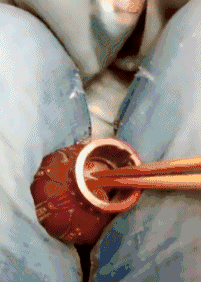 593a0002d7f535f9808a