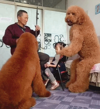 593d00008dbb7530aa23