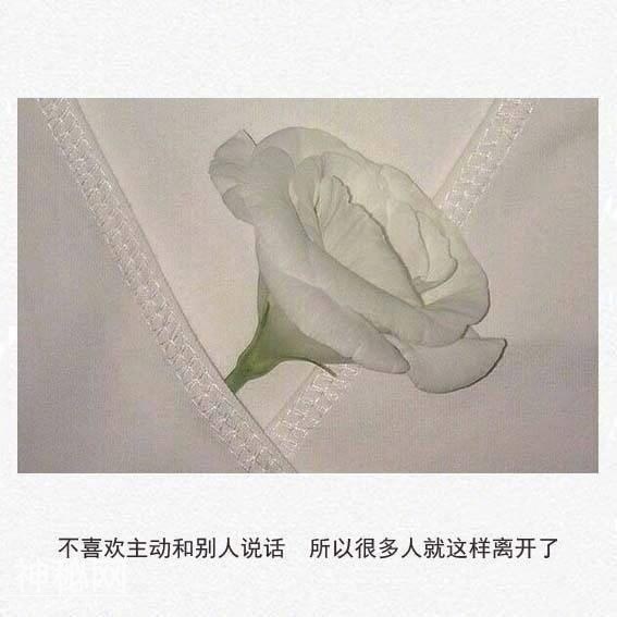593d0001047c7a705315