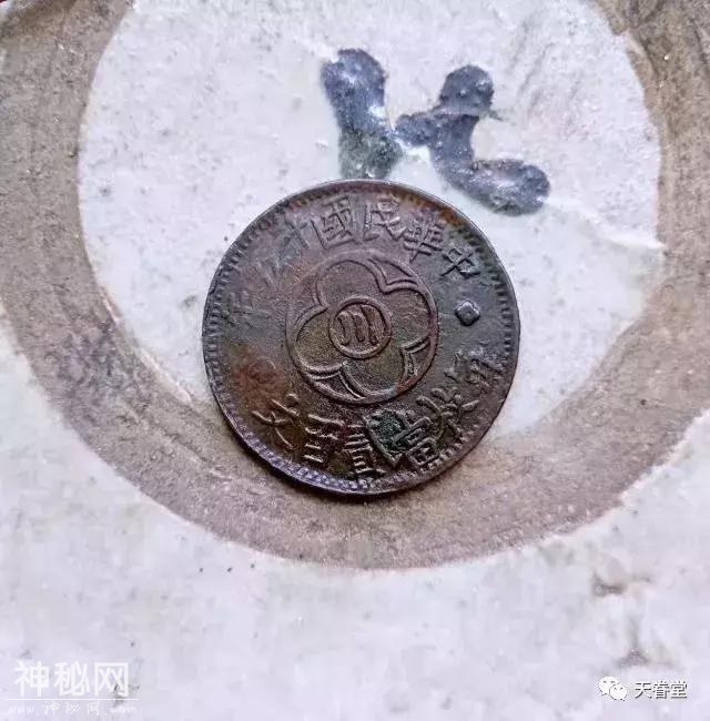 593b0003c55776a33f56