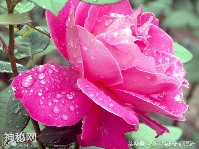 593d0004bab21a79f2ad