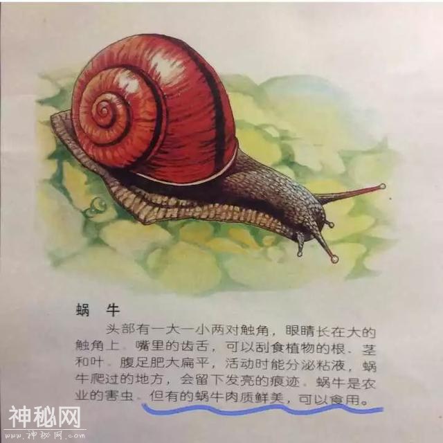 59410003f18381d86b6a