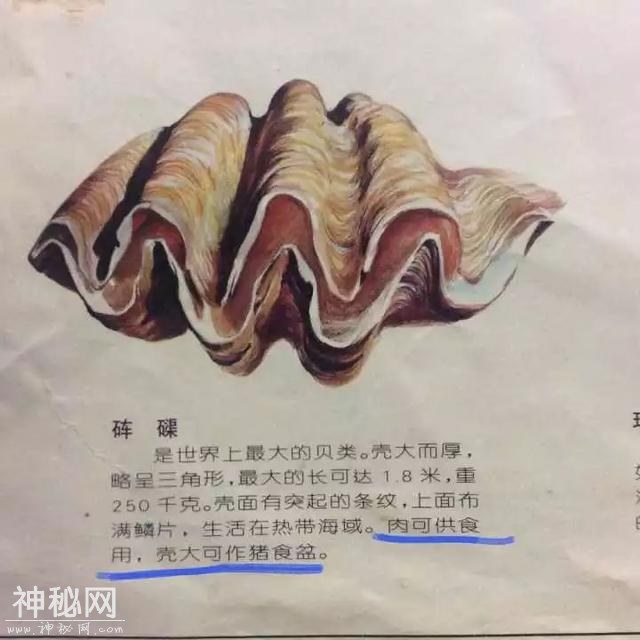 5943000137ab1446f93f