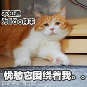 59480001c534c36c07f3