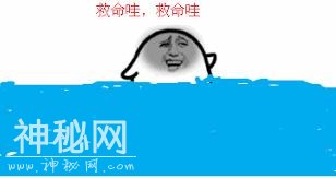 59470001a8d2156613fb