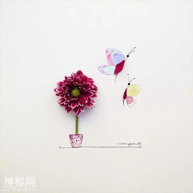 46ed0002bba6be6502ea